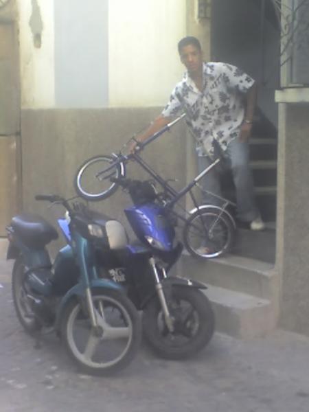  fox et stunt